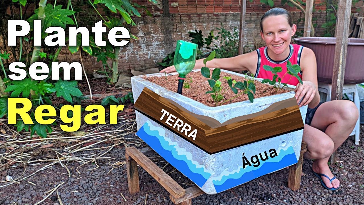 DIY: How to Make a Garden That Doesn’t Need to WATER 🌱