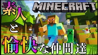 【マインクラフト】マイクラど素人が通ります！【生放送】