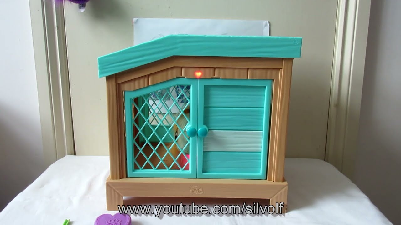 Watch video Mama Surprise Guinea Pigs Unboxing and Review Part 1 Now Mama Surprise Guinea Pigs Unboxing and Review Part 1