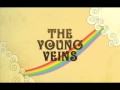 Security-The Young Veins. 