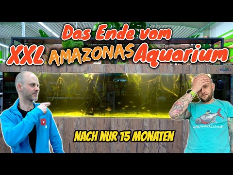 Das XXL Amazonas Biotopaquarium wird eingerissen! | Hardscape aussuchen für das neue Projekt