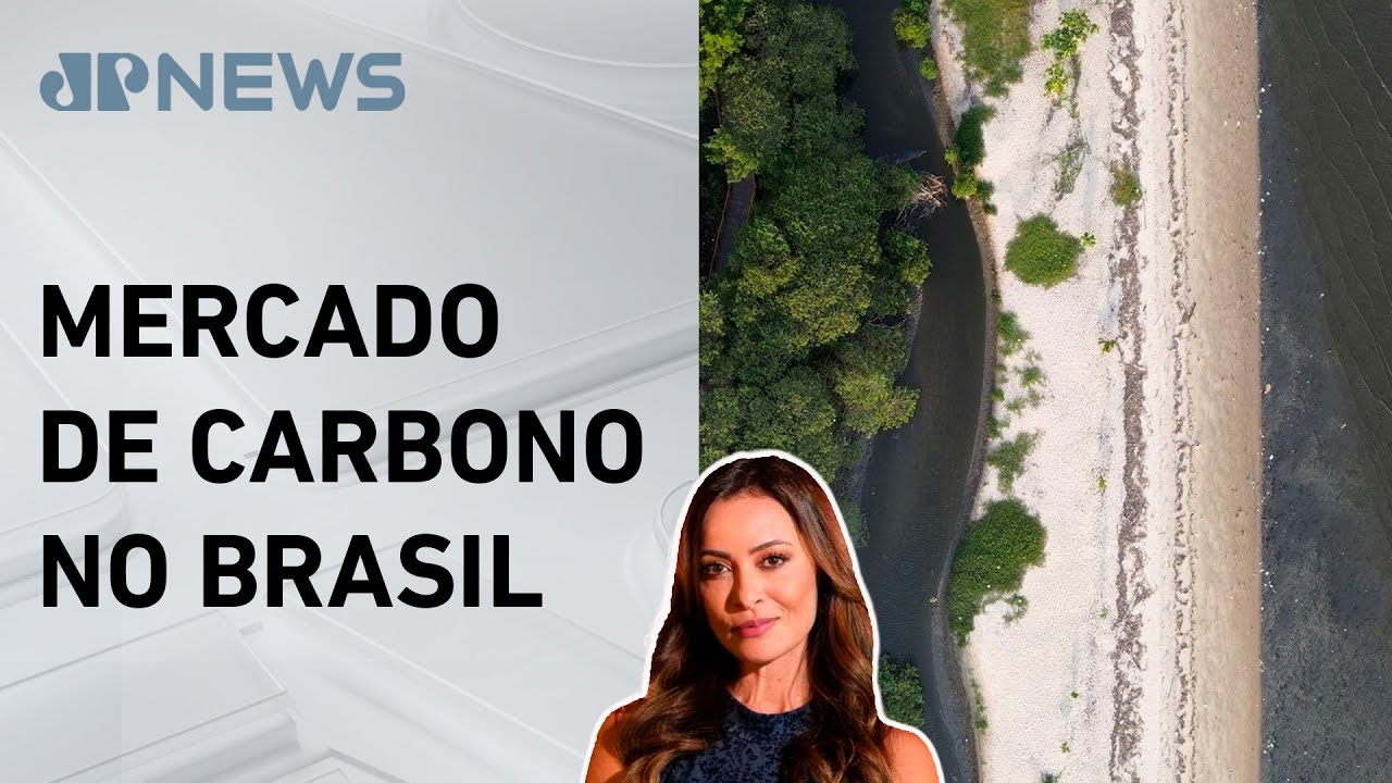 Manguezais pode gerar R$ 49 bilhões em crédito de carbono; Patrícia Costa analisa