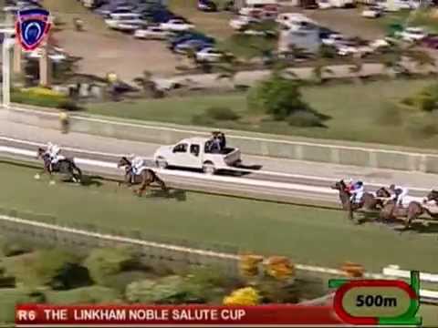 46 - 2014 THE LINKHAM NOBLE SALUTE CUP