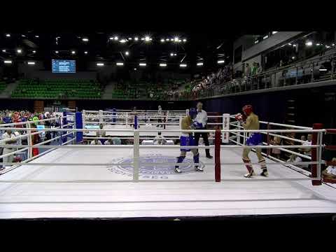 Almin Hodzic v Alessandro Caputo WAKO European Championships 2019