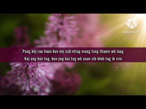 Hlub Koj Ib Sim - MivFee Yaj (lyrics)