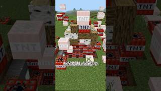 【マイクラ】バカキンにバレバレなTNTドッキリを仕掛けたら展開がヤバすぎたｗｗｗ ドイヒーくん　#マイクラ #マインクラフト #minecraft #shorts #ドッキリ