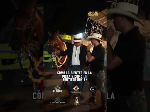 Tango de la Posada y @pesebrerasjuanlopez GCR en Feria de las Flores 🐴💐🔥