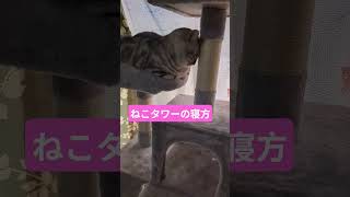 2026年8月16日