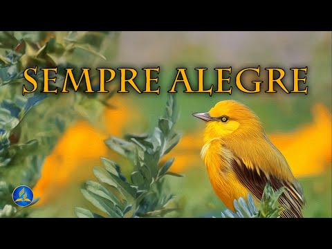 Hinário Adventista 219 - SEMPRE ALEGRE