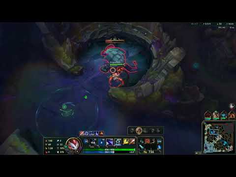 kindred vs sett (polar aces)