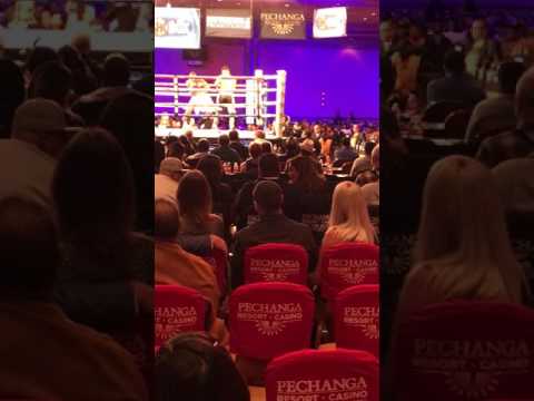 Todd Manuel vs Cameron Kreal   Boxing