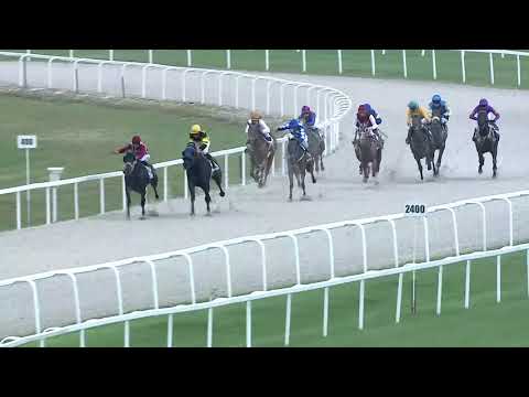 2019.06.23. 03. futam - CSORVÁSI HENDIKEP (V.o.) I. rész (szintetikus pálya)