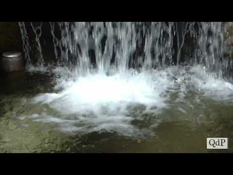 La sorgente Tegorzo, in val Schievenin, dove sgorga il nettare prezioso delle nostre comunità