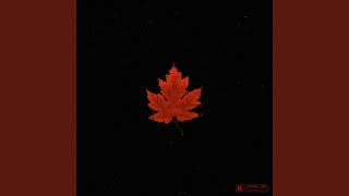 Feuille Rouge (Argentique #7) Music Video