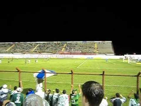 mogi mirim 2 x 2 palmeiras pauilstão 2013  estádio romildão