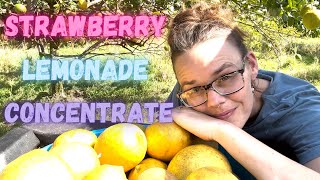 Canning Strawberry Lemonade | Taste Test | Hamakua Homestead