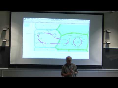 BB 350 Final Exam Review Session