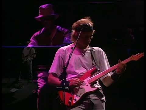 Dire Straits - Local Hero/Wild Theme - LIVE! (from On the Night DVD) - HQ AUDIO & VIDEO