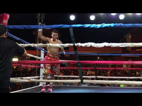2nd pro fight