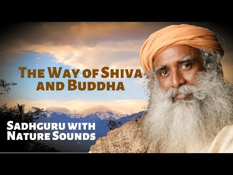 The Way of Shiva and Buddha - Sadhguru with Sounds of Nature