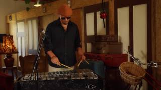 Vibraphone (vibes)