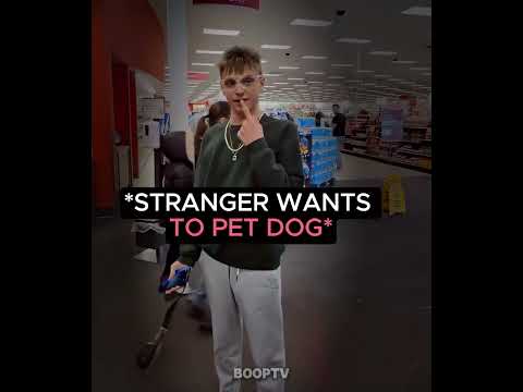 This Dog Owner Got Jokes 😂