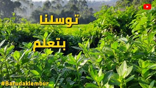 Download lagu Do'a sesudah belajar (Robbinfa'na Bimaa 'Allamtana) Versi Sunda | Barudaklembur 2020 mp3 Download lagu Do'a sesudah belajar (Robbinfa'na Bimaa 'Allamtana) Versi Sunda | Barudaklembur 2020 mp3