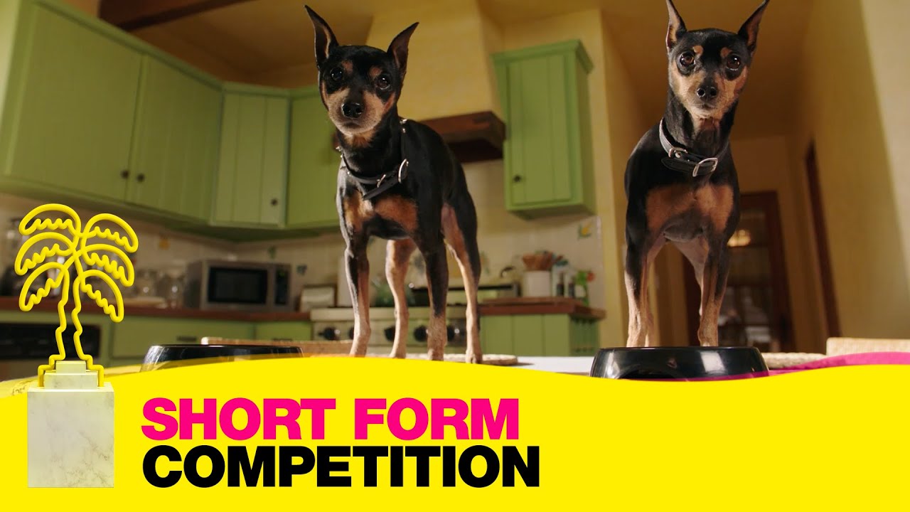 Golden Revenge - Short Form Competition - CANNESERIES