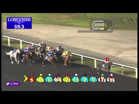 22.11.2012 Meydan (Dubai-UAE) 3.Race Shahrazad Ladies Banking 1.200 m