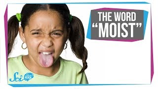 Why We Hate the Word &#39;Moist&#39;