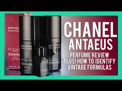 CHANEL ANTAEUS FRAGRANCE REVIEW / HOW TO ID VINTAGE FORMULAS!