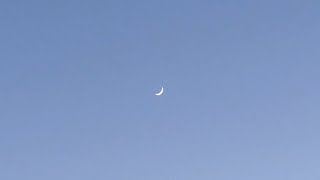 Download lagu suggi - hug (Lyric Video) mp3 Download lagu suggi - hug (Lyric Video) mp3