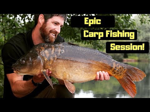 Carp Fishing From an Island (epic fishing trip) Video