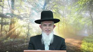 דרך השם רמח"ל I חלק ב - פרק 4, ישראל ואומות העולם I הרה"ג יוסף הללויה שליט"א I שיעור 109