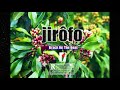 Free Afro Antosy Watsawatsa Instrumental Gasy Jirôfo By Brack On The Beat 2023