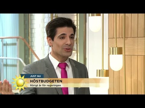 Marcus Oscarsson om höstbudgeten - Nyhetsmorgon (TV4)
