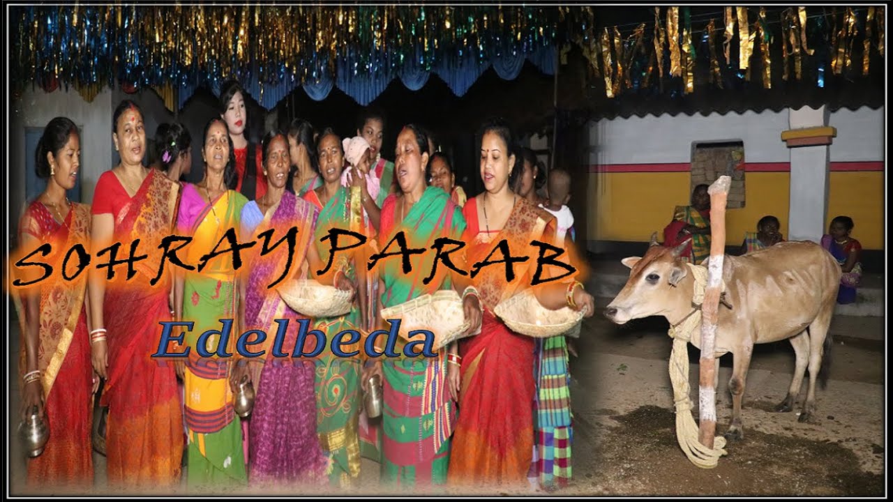 Sohrai Parab 2021//Dari Khunta//New Sohrai Sereng//Edelbeda