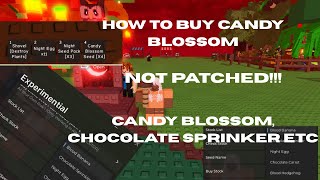 How to buy Candy Blossoms | Grow a Garden Script | NOT PATCHED