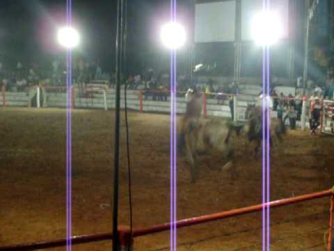 Rodeio de Santa Inês 2009 - Édinho