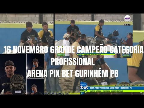16 NOVEMBRO GRANDE CAMPEÃO CATEGORIA PROFISSIONAL ARENA PIXBET GURINHÉM PB VAQUEJADA.