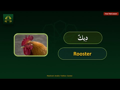 Learn Arabic By Examples: Episode 5 - Vocabulary of Lesson 2