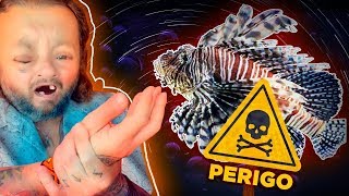 Miniatura do vídeo