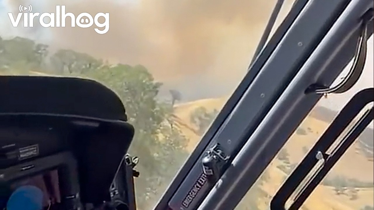Helicopter Footage of Wyly Fire in California || ViralHog