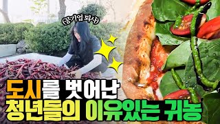 농부가 된 청년들, 그들의 귀농 이야기를 들어보자 [황금나침반] / YTN 사이언스