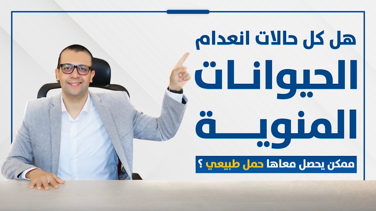 معاينة فيديو: هل حالات انعدام الحيوانات المنوية ممكن يحصل معاها انجاب طبيعي - علاج تأخر الانجاب - د . اسامة البكل