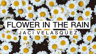 Flower in the Rain - Jaci Velasquez(Lyrics)