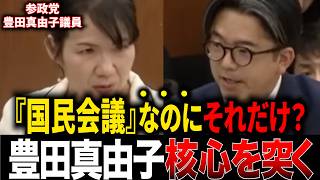 参政党豊田真由子議員が『給付つき税額控除』をチクリと刺す…「国民会議という割にそれだけ？」