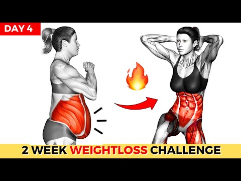 Do This 30 Min Everyday To Lose Weight Belly Fat 2 Weeks Shred Challenge DAY 1