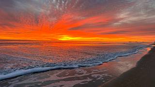 LIVE 4k Nags Head Beach Cam 🌊 | Oceanfront View from the Outer Banks, NC