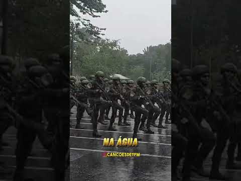 1ºBIS - O melhor do mundo - SELVA